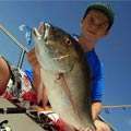 Concours photos Blue Shad 2013