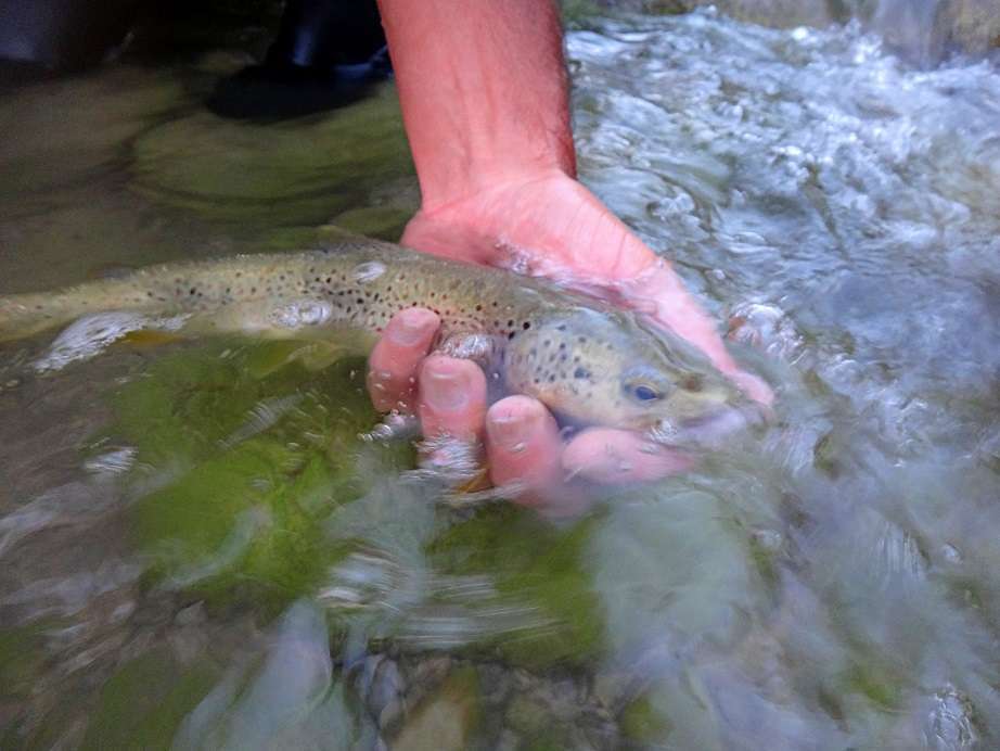 Acheter le masque chaud pour la pêche