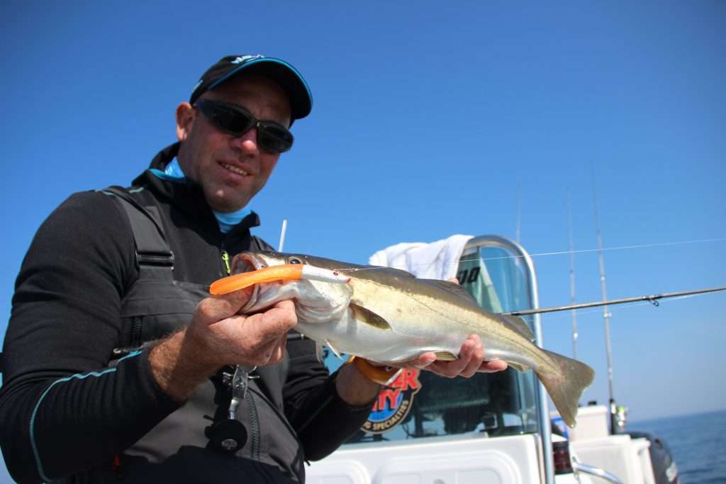 Pierre-Yves Perrodo, guide de pêche dans le Morbihan utilise beaucoup le Blue Equille 75 g pour les pêches du lieu