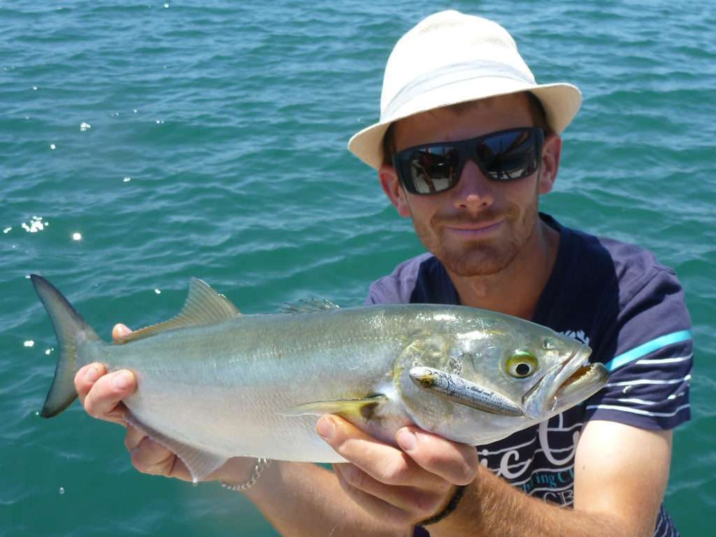 Pêcher la liche au vif : facile ! Blog Flashmer Pêcher la liche au vif : facile ! Blog Flashmer