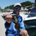 Rockfishing au Crappie Dapper Bass Assassin