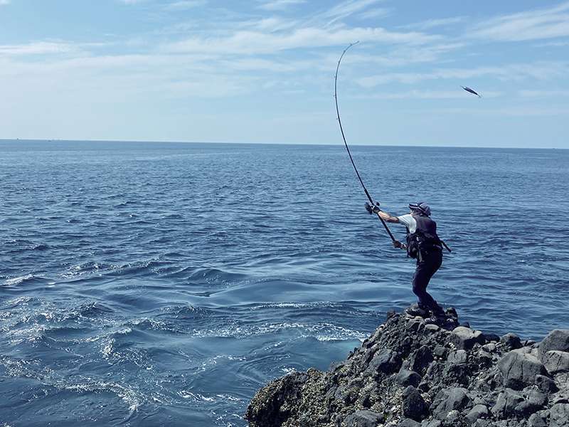 Les Rize Shooter SSD Tailwalk sont parfaites pour toutes les pêches en shore jigging ! 