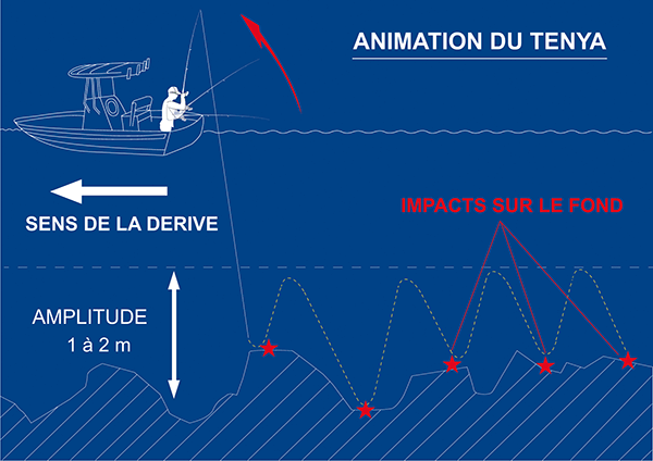 Animation du Tenya