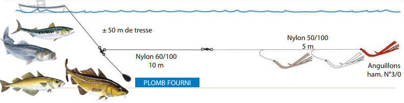 mole particle conversions