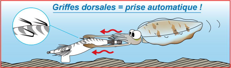 Griffes Dorsales