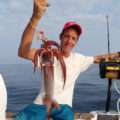 Pêche des calamars rouges dans les abysses