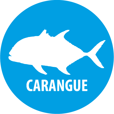 carangue
