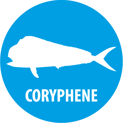 coryphene