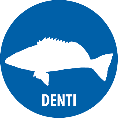denti