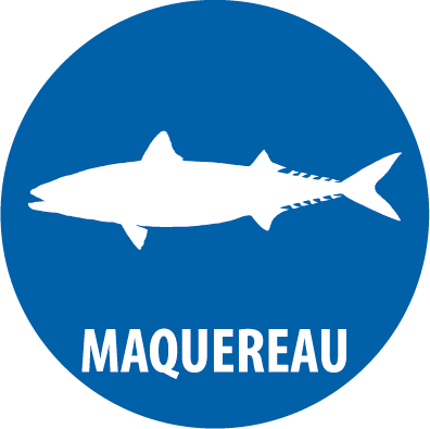 maquereau