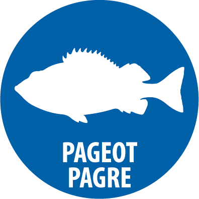 pagre pageot