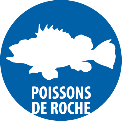 poissons de roche