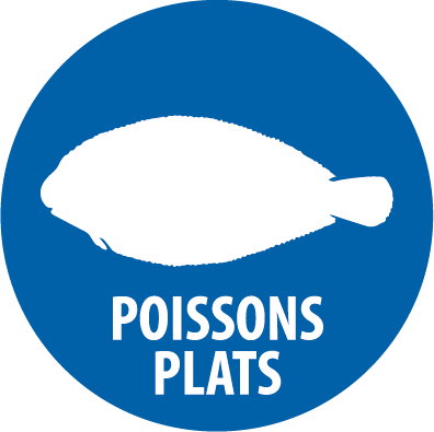 poissons plats