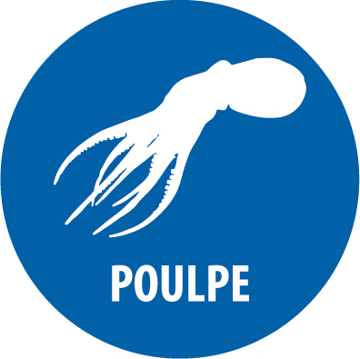 poulpe