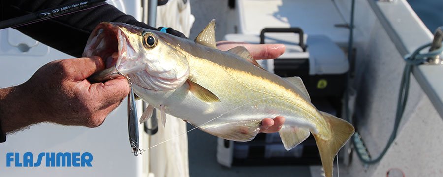 Jig Metal Spot Flashmer
