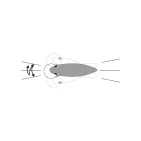 3DS CRANK DD (F) - 65 mm