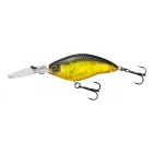 3DS CRANK DD (F) - 65 mm