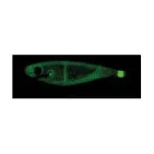 CALMERO ULTRA REALISTIC - S - 9 cm