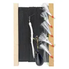 LIGNE DE TRAINE COTE OUEST