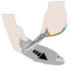 21 CM STAINLESS STEEL TAIL-CUTTING AND SCALING SCISSORS