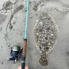 Avid Inshore Spinning