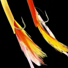 SPECIAL POLLACK RIG - 7 HOOKS