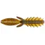 ABWX67549 Sun Perch - 11.5 cm