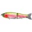 LYPGB180RT Rainbow Trout