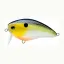 LY3CSSR50SSH Sexy Shad (SSH)