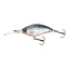 LY3CDD65HTS Holographic Tennessee Shad (HTS)