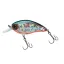 LY3CSR50HTS Holographic Tennessee Shad (HTS)