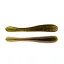 ABWX72505 Pumpkin Seed - Green Pumpkin - 9 cm
