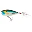 IM75DGS Gizzard Shad (DGS)