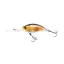 LYRCD70RGSN Real Golden Shiner (RGSN)