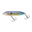 SKB7HBS Wounded Shad (HBS)