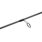 Rayfin Spinning