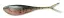 LKFS1N38 Rainbow Trout (38)