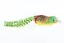 ABWL2347 Bullfrog
