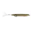 ABWSP5249 Tenesee Shad (GHGT)