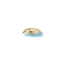 LGSBBL Bleu (B)