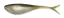 LKFS1N6 Arkansas Shiner (6)
