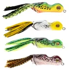 Painted Trophy Series