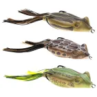 Phat Frog