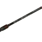 CANNE INCLUSIVE SPIN