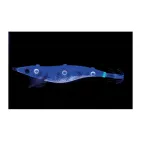 SUSHI-Q - 3.5 - 12 cm