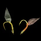 HASAI GURUKUN ISEAMA