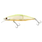 RAFALEA JT 118  (SF)