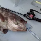 Moulinet Elan Wide Power