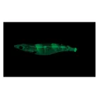 SUSHI-Q - 3.5 - 12 cm