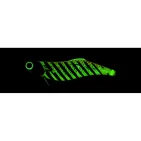 AURIE Q FINACE YO-ZURI